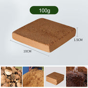 Plant Coconut Brick Nutrient Soil