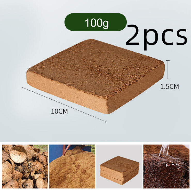 Plant Coconut Brick Nutrient Soil