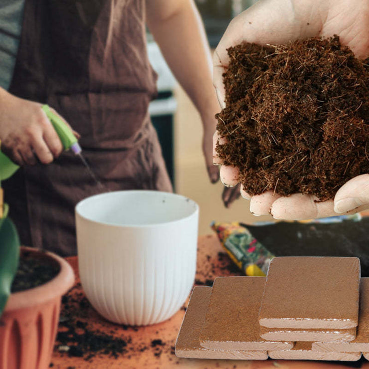 Plant Coconut Brick Nutrient Soil